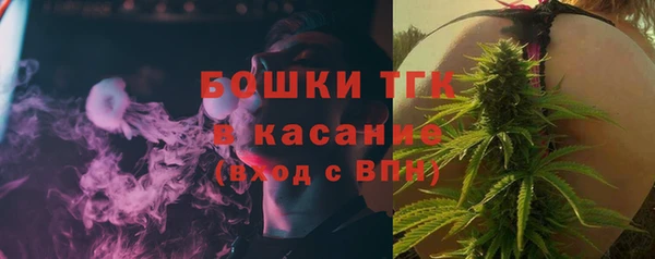крисы Бугульма