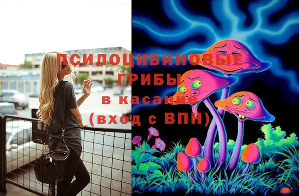 дмт Бронницы