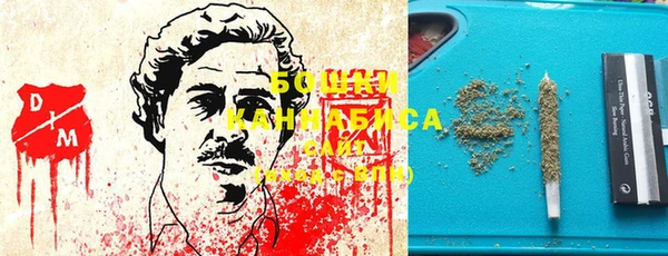 сатива Бородино
