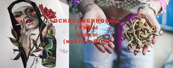 2c-b Воткинск
