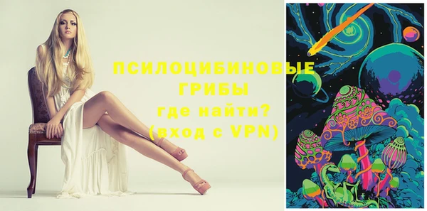 дмт Бронницы
