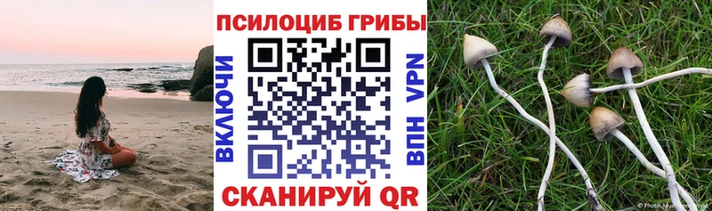 магазин продажи наркотиков  Воркута  OMG вход  Галлюциногенные грибы ЛСД 