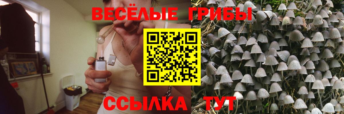 Псилоцибиновые грибы ЛСД Воркута