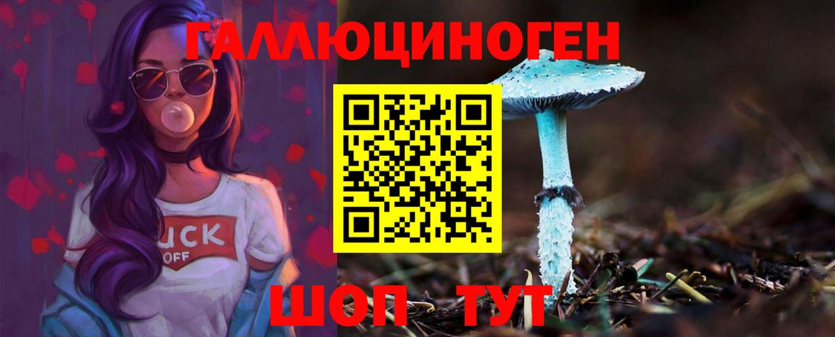 Псилоцибиновые грибы Psilocybe  Вход с VPN  Воркута 